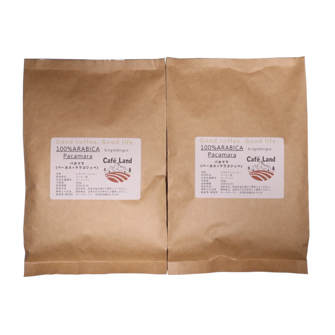 Pacamara (パカマラ:パーカス×マラゴジッペ) - 画像 (2)