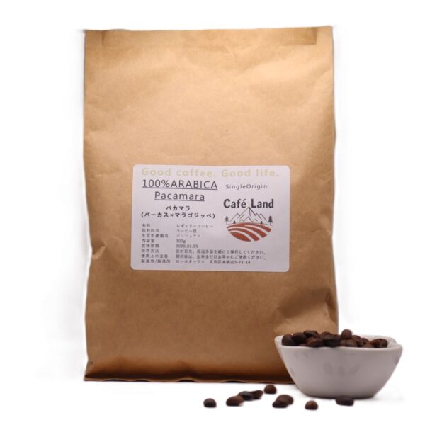 Pacamara (パカマラ:パーカス×マラゴジッペ)